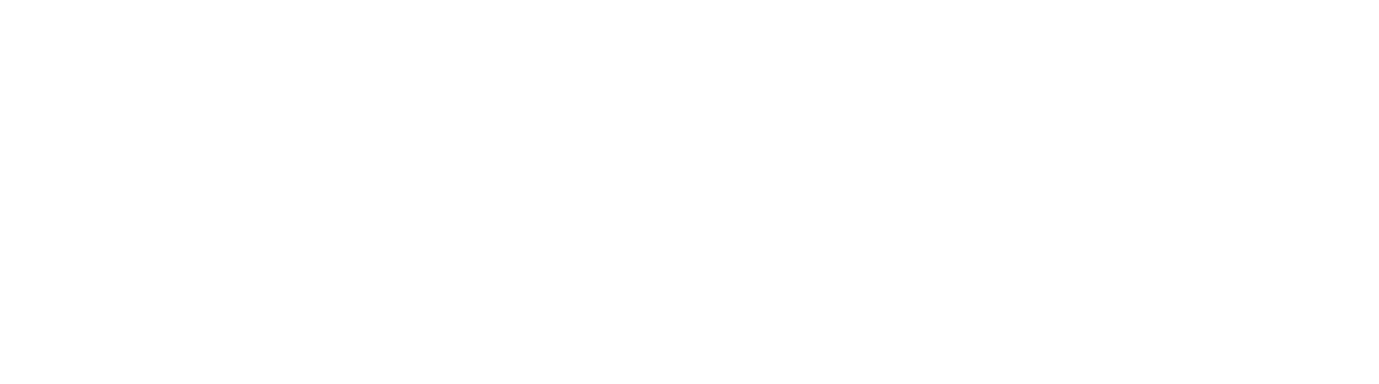 MPower Curcumin Plus BioBDMC30