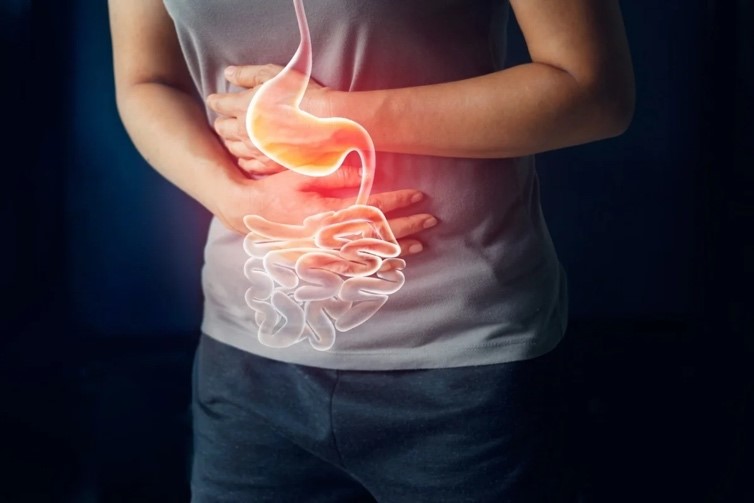Probiotic và sức khoẻ của hệ tiêu hoá